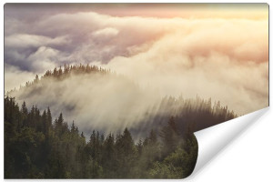 Fototapeta DO SALONU 3D Las we Mgle Zachód Słońca 135cm x 90cm