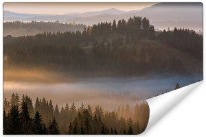 Fototapeta FLIZELINOWA 3D Mglisty Las do Sypialni 400cm x 280cm