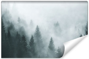 Fototapeta do Salonu FLIZELINOWA 3D Las we Mgle 180cm x 120cm