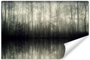 Fototapeta FLIZELINOWA 3D Mroczny Krajobraz 3D Las 315cm x 210cm