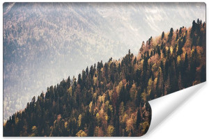 Fototapeta FLIZELINOWA 3D Krajobraz Leśny Styl Vintage 315cm x 210cm