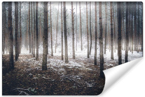 Fototapeta FLIZELINOWA na Ścianę 3D Zimowy Pejzaż Leśny 180cm x 120cm
