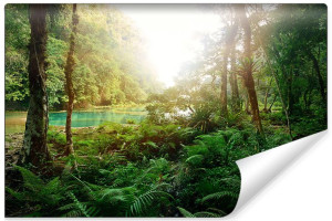 Fototapeta DEKORACYJNA 3D do Salonu Las Drzewa i Woda 180cm x 120cm