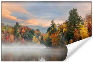 Fototapeta FLIZELINOWA 3D Jesienny Las Piękny Krajobraz 450cm x 300cm