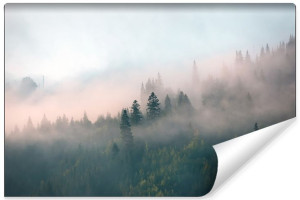 Fototapeta DEKORACYJNA Mglisty Krajobraz Leśny 3D 90cm x 60cm