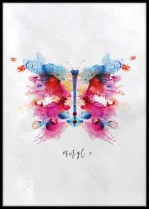 Plakat kolorowy motyl - plakat do sypialni - 40x50