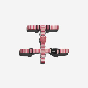 ZEE DOG Peppermint Szelki M