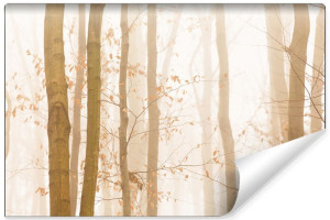 Fototapeta JESIENNY Pejzaż Efekt 3D Drzewa Brzozy 135cm x 90cm