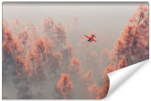 Fototapeta DEKORACYJNA Efekt 3D Las we mgle i Samolot 400cm x 280cm