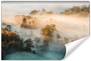 Fototapeta na Ścianę KRAJOBRAZ 3D Las we Mgle 360cm x 240cm