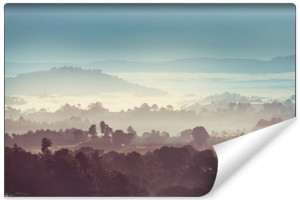 Fototapeta DEKORACYJNA 3D Las we Mgle Styl Vintage 270cm x 180cm