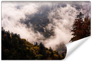 Fototapeta NA ŚCIANĘ 3D Droga pośród Lasu we Mgle 400cm x 280cm