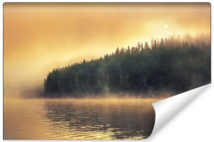 Fototapeta NA ŚCIANĘ 3D Las we mgle przy Zachodzie Słońca 90cm x 60cm