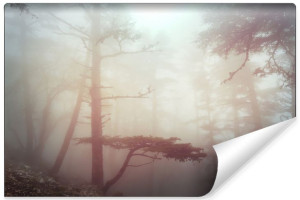 Fototapeta NA ŚCIANĘ Pejzaż 3D Las we Mgle Natura 450cm x 300cm