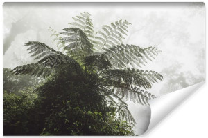 Fototapeta DO SALONU 3D Las we Mgle KWIAT PAPROCI 90cm x 60cm