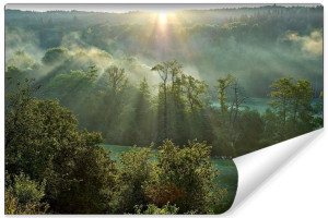 Fototapeta FLIZELINOWA 3D Las we Mgle Polana i Słońce 135cm x 90cm