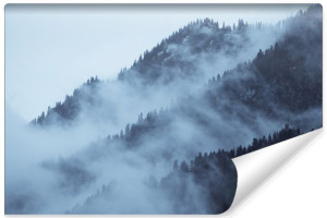 Fototapeta ŚCIENNA 3D Leśny Krajobraz za Mgłą na Wzgórzach 90cm x 60cm