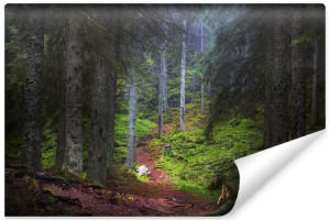 Fototapeta ŚCIENNA 3D ŚCIEŻKA w Lesie Pejzaż Natury 180cm x 120cm