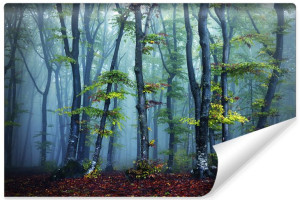 Fototapeta FLIZELINOWA 3D Leśny Krajobraz Natura Drzewa 90cm x 60cm