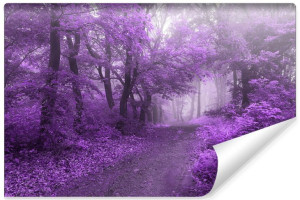 Fototapeta DEKORACYJNA Abstrakcyjny Pejzaż Las Efekt 3D 360cm x 240cm