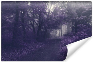 Fototapeta ŚCIENNA Efekt 3D Las w Odcieniach Fioletu 135cm x 90cm