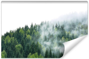 Fototapeta DEKORACYJNA 3D Pejzaż LAS Iglasty we Mgle 3D 135cm x 90cm