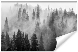 Fototapeta NA ŚCIANĘ 3D do Sypialni Las we Mgle Krajobraz 450cm x 300cm