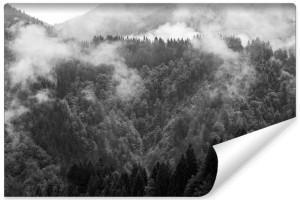 Fototapeta NA ŚCIANĘ 3D Drzewa we Mgle Pejzaż Natura 400cm x 280cm