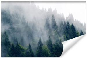 Fototapeta NA ŚCIANĘ Efekt 3D do Salonu Mglisty Las 315cm x 210cm