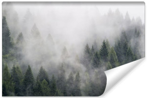 Fototapeta NA ŚCIANĘ 3D LAS WE MGLE Krajobraz Natury 135cm x 90cm