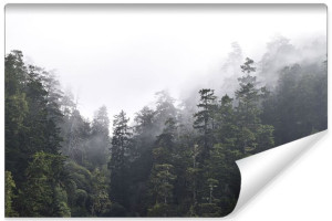 Fototapeta NA ŚCIANĘ 3D Zamglony LAS Pejzaż do Sypialni 315cm x 210cm