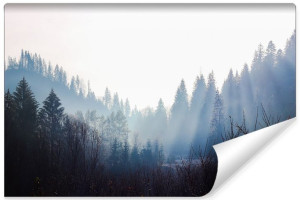 Fototapeta DEKORACYJNA 3D Drzewa we Mgle do Salonu 135cm x 90cm
