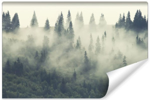 Fototapeta DEKORACYJNA 3D LAS we Mgle do Sypialni 360cm x 240cm