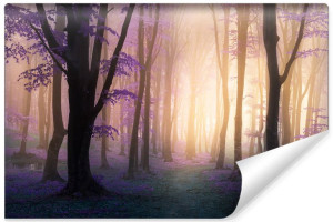 Fototapeta NA ŚCIANĘ 3D Magiczny LAS we Mgle do Sypialni 360cm x 240cm
