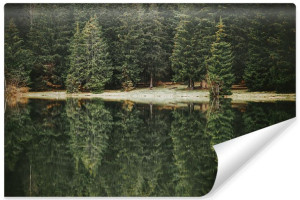 Fototapeta NA ŚCIANĘ 3D LAS Jezioro Natura do Sypialni 405cm x 270cm