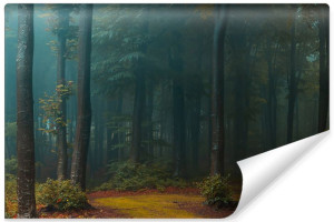 Fototapeta NA ŚCIANĘ 3D do Salonu  Mroczny Leśny Krajobraz 405cm x 270cm