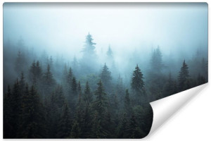 Fototapeta NA ŚCIANĘ 3D do Sypialni Pejzaż Leśny 270cm x 180cm