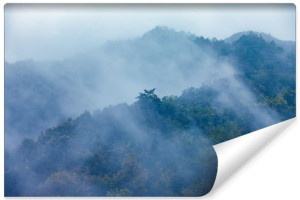 Fototapeta Leśny Motyw we Mgle EFEKT 3D Natura Drzewa 135cm x 90cm