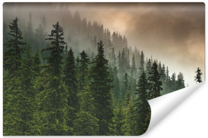 Fototapeta NA ŚCIANĘ EFEKT 3D Zamglony LAS Natura Drzewa 135cm x 90cm