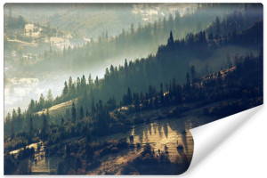 Fototapeta ŚCIENNA 3D LAS Iglasty na Wzgórzach Pejzaż 368cm x 254cm