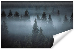 Fototapeta FLIZELINOWA 3D Motyw LAS we Mgle Krajobraz 90cm x 60cm