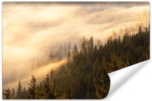 Fototapeta FLIZELINOWA 3D Motyw LAS we Mgle przy Zachodzie 400cm x 280cm