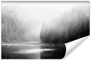 Fototapeta NA ŚCIANĘ 3D Czarno-Biały Pejzaż LAS we Mgle 135cm x 90cm