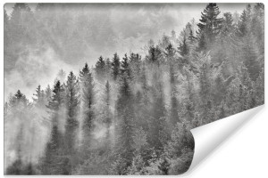 Fototapeta ŚCIENNA 3D CZARNO-BIAŁY Krajobraz Górski LAS 270cm x 180cm