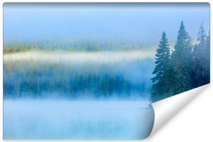 Fototapeta NA ŚCIANĘ 3D Drzewa Iglaste i Zamglone Jezioro 90cm x 60cm