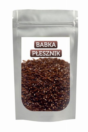 Babka PŁESZNIK, Plantago afra 1KG A