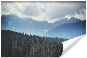 Fototapeta NA ŚCIANĘ 3D Pejzaż Las Drzewa na Tle Gór 270cm x 180cm