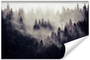 Fototapeta NA ŚCIANĘ 3D Mroczny Pejzaż Las we Mgle 405cm x 270cm