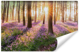 Fototapeta ŚCIENNA Pejzaż Las Kwiaty i Natura 3D 180cm x 120cm
