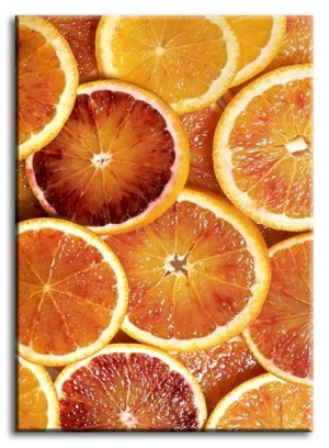 Obraz na płótnie 50x70cm czerwone pomarańcze G92742